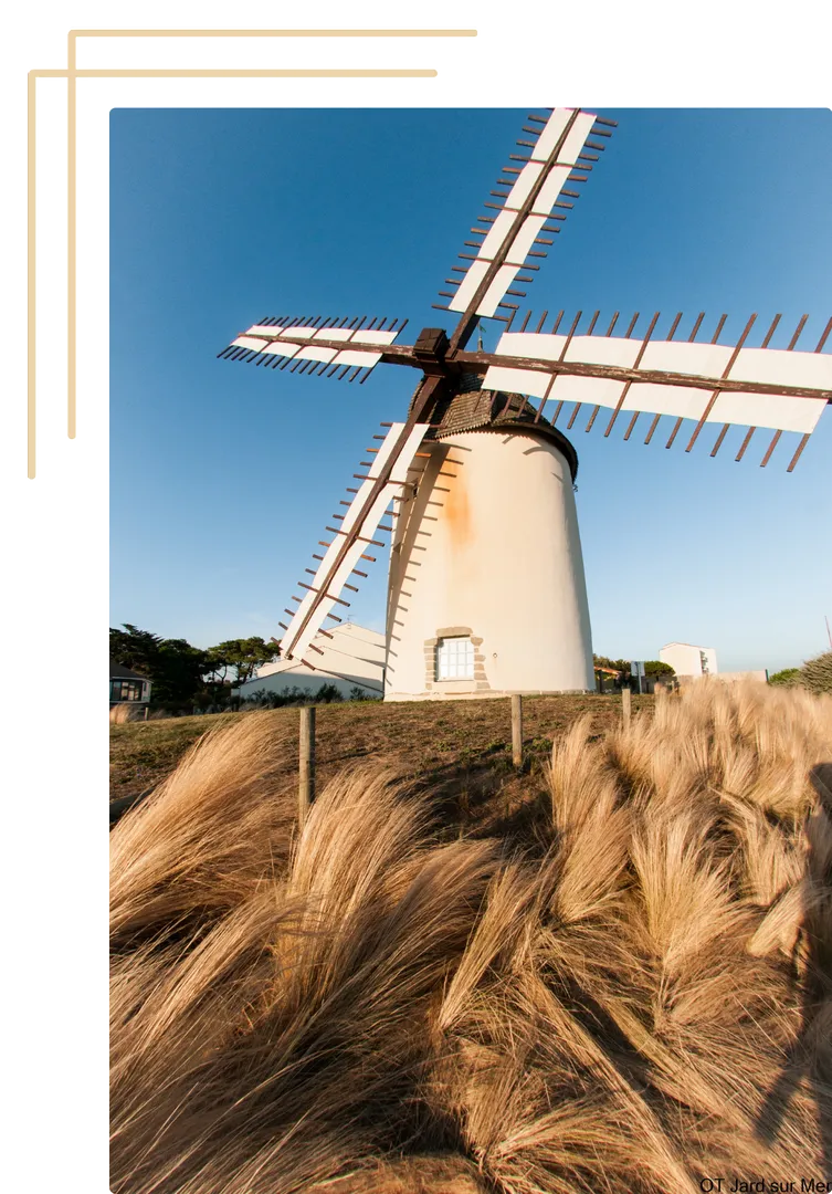 Jard sur mer Moulin