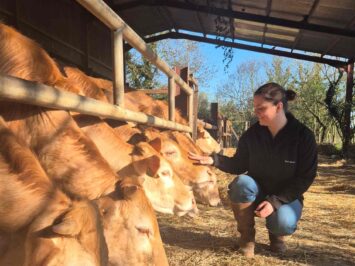 Domainde Coutardiere Ferme Blonde Aquitaine agricultrice (2) Domainde Coutardiere Ferme Blonde Aquitaine agricultrice (2)