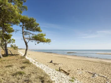 Saint Vincent sur Jard (5) Saint Vincent sur Jard