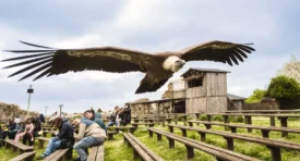 chateau de talmont HD 20